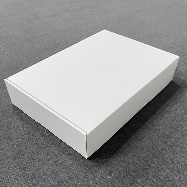 ECE11 Box (370w x 270d x 75h mm) Pack of 25 - Lion Print